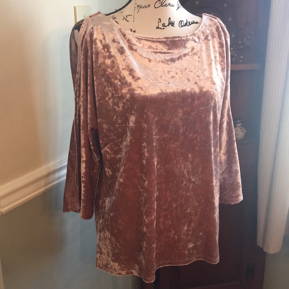 Spense Tops - NWT!Blush colored crushed velvet cold shoulder top